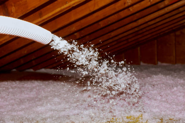 Professional Insulation Contractor in Forrest City, AR