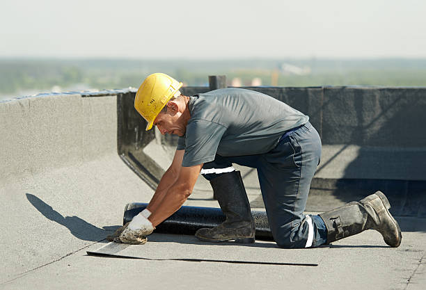 Best Eco-Friendly Insulation in Forrest City, AR