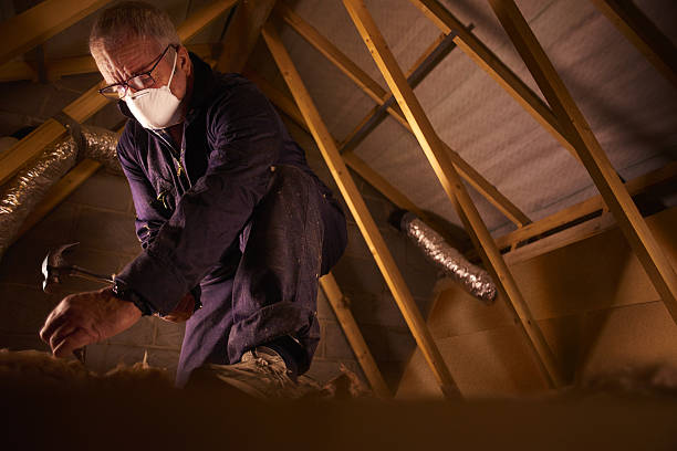 Best Insulation Maintenance and Repair in Forrest City, AR