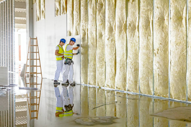Best Spray Foam Insulation in Forrest City, AR